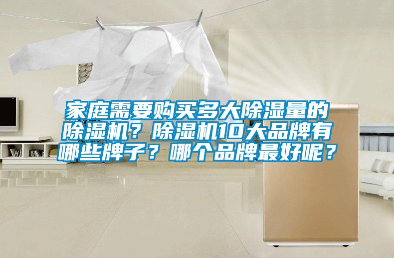 家庭需要購買多大除濕量的除濕機？除濕機10大品牌有哪些牌子？哪個品牌最好呢？