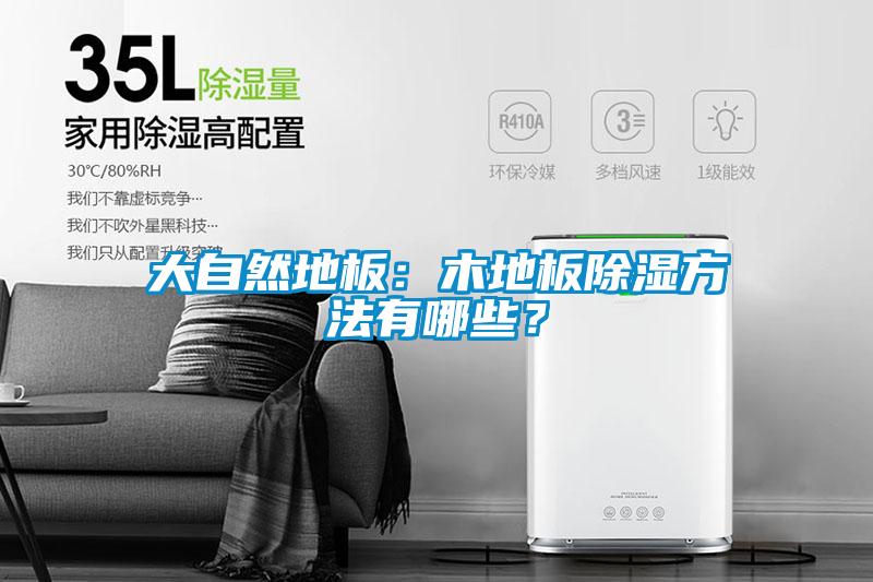 大自然地板：木地板除濕方法有哪些？