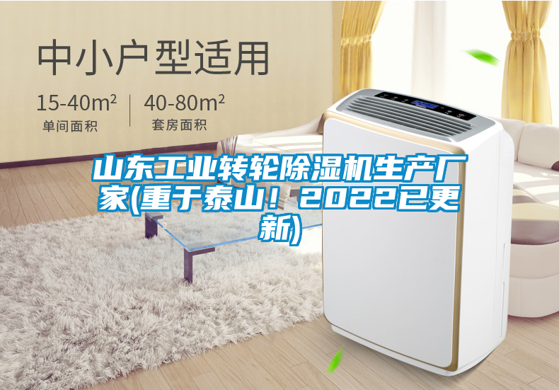山東工業(yè)轉輪除濕機生產(chǎn)廠家(重于泰山！2022已更新)