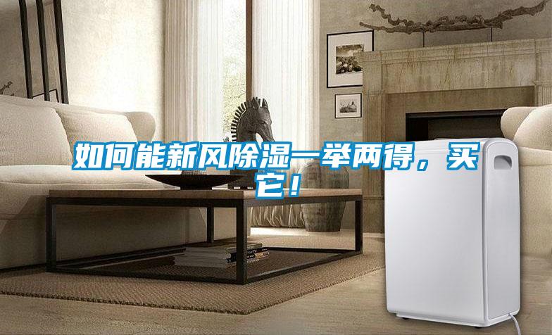如何能新風除濕一舉兩得，買它！