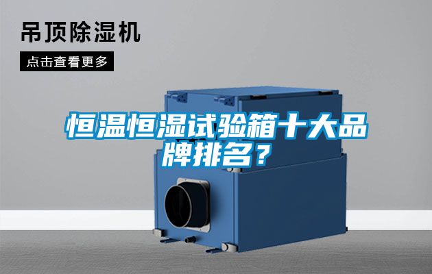 恒溫恒濕試驗(yàn)箱十大品牌排名？
