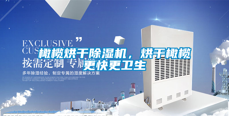 橄欖烘干除濕機，烘干橄欖更快更衛生