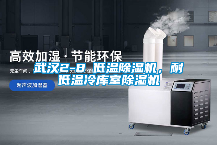 武漢2-8℃低溫除濕機，耐低溫冷庫室除濕機