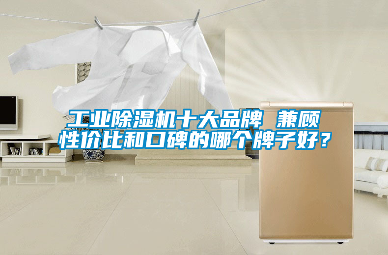 工業除濕機十大品牌 兼顧性價比和口碑的哪個牌子好？