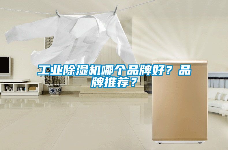 工業(yè)除濕機哪個品牌好？品牌推薦？
