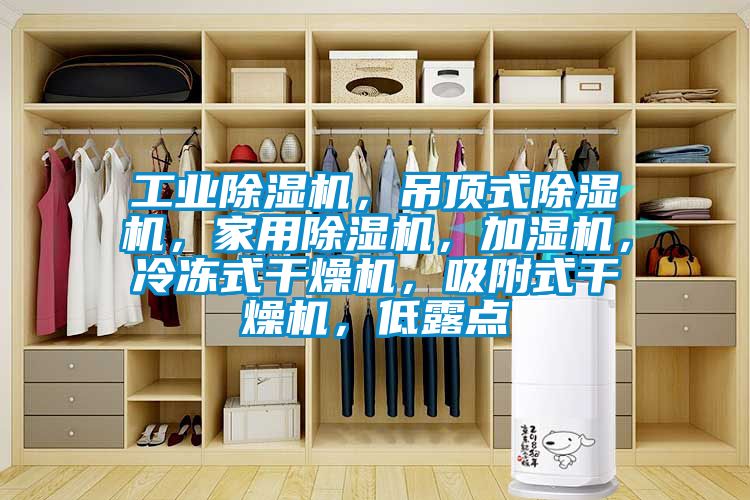 工業除濕機，吊頂式除濕機，家用除濕機，加濕機，冷凍式干燥機，吸附式干燥機，低露點