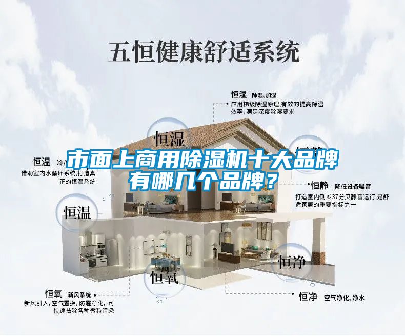 市面上商用除濕機十大品牌有哪幾個品牌？