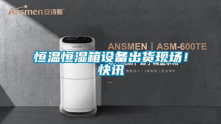 恒溫恒濕箱設備出貨現場！快訊