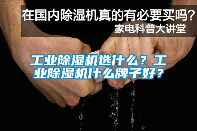 工業(yè)除濕機選什么？工業(yè)除濕機什么牌子好？