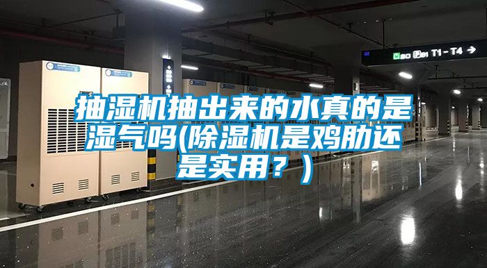 抽濕機抽出來的水真的是濕氣嗎(除濕機是雞肋還是實用？)