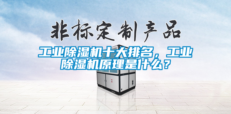 工業(yè)除濕機(jī)十大排名，工業(yè)除濕機(jī)原理是什么？