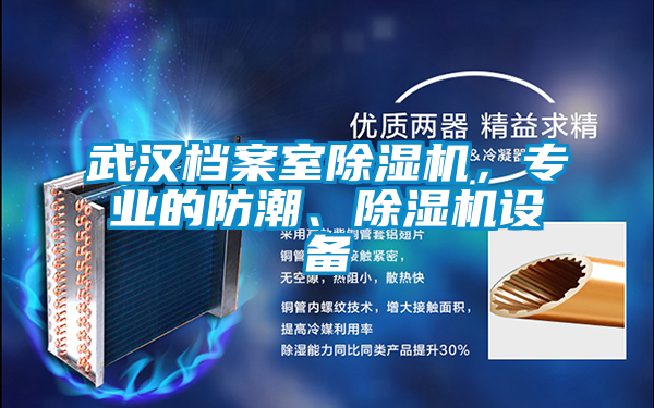 武漢檔案室除濕機，專業(yè)的防潮、除濕機設備