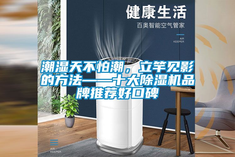 潮濕天不怕潮，立竿見影的方法——十大除濕機品牌推薦好口碑