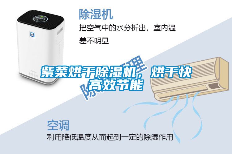 紫菜烘干除濕機，烘干快高效節能
