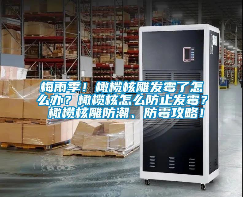 梅雨季！橄欖核雕發霉了怎么辦？橄欖核怎么防止發霉？ 橄欖核雕防潮、防霉攻略！