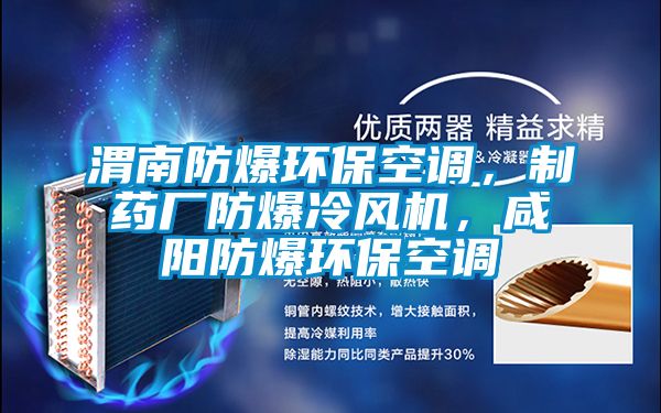 渭南防爆環(huán)?？照{(diào)，制藥廠防爆冷風(fēng)機(jī)，咸陽(yáng)防爆環(huán)?？照{(diào)
