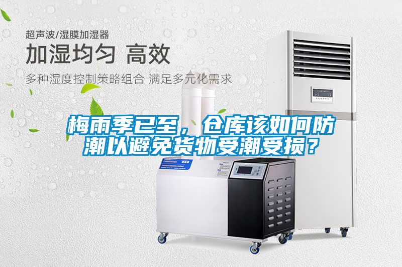 梅雨季已至，倉庫該如何防潮以避免貨物受潮受損？