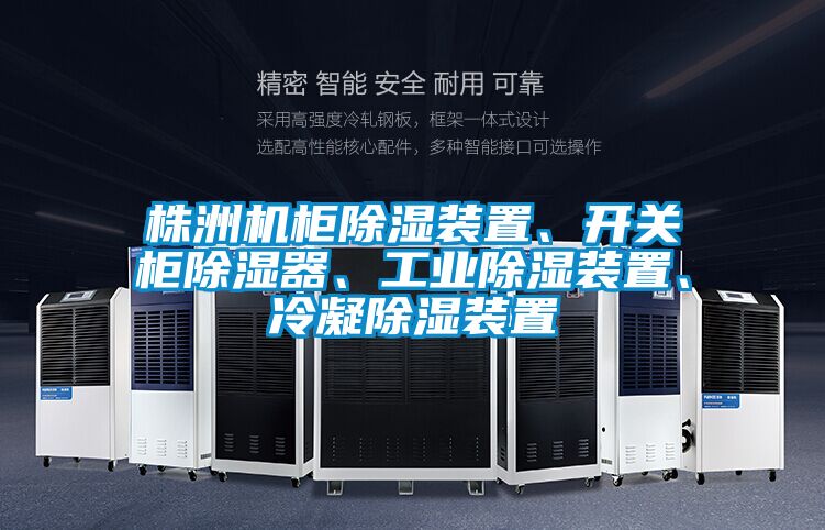 株洲機(jī)柜除濕裝置、開關(guān)柜除濕器、工業(yè)除濕裝置、冷凝除濕裝置