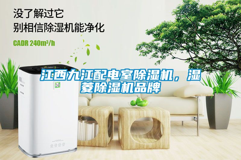 江西九江配電室除濕機，濕菱除濕機品牌