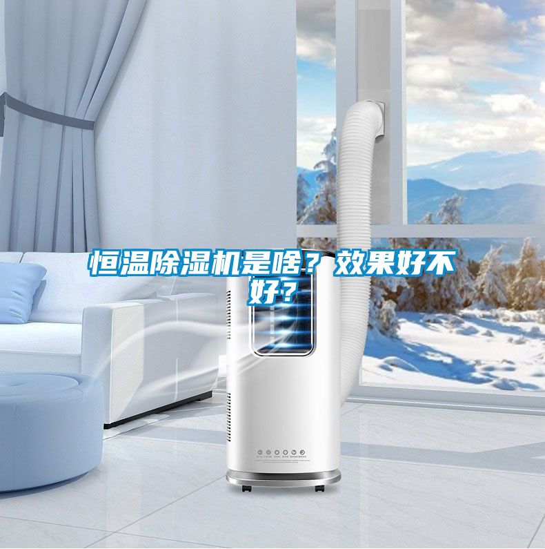 恒溫除濕機(jī)是啥？效果好不好？
