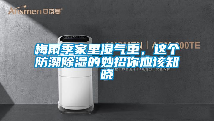 梅雨季家里濕氣重，這個防潮除濕的妙招你應該知曉
