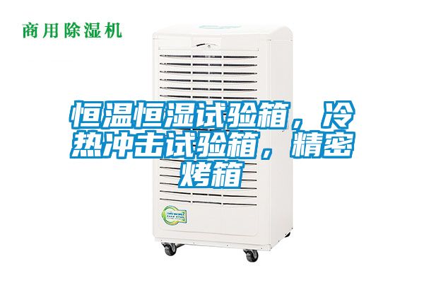 恒溫恒濕試驗箱，冷熱沖擊試驗箱，精密烤箱