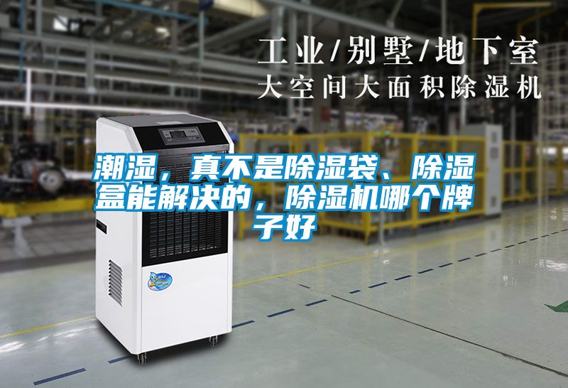 潮濕，真不是除濕袋、除濕盒能解決的，除濕機(jī)哪個(gè)牌子好