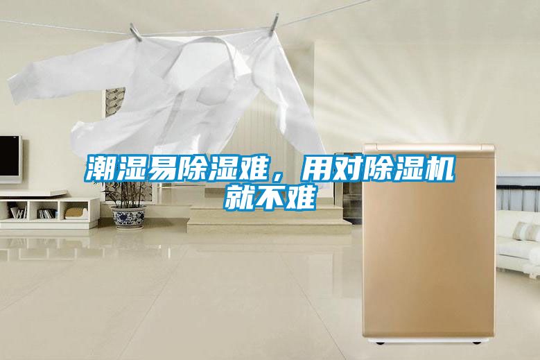 潮濕易除濕難，用對除濕機就不難