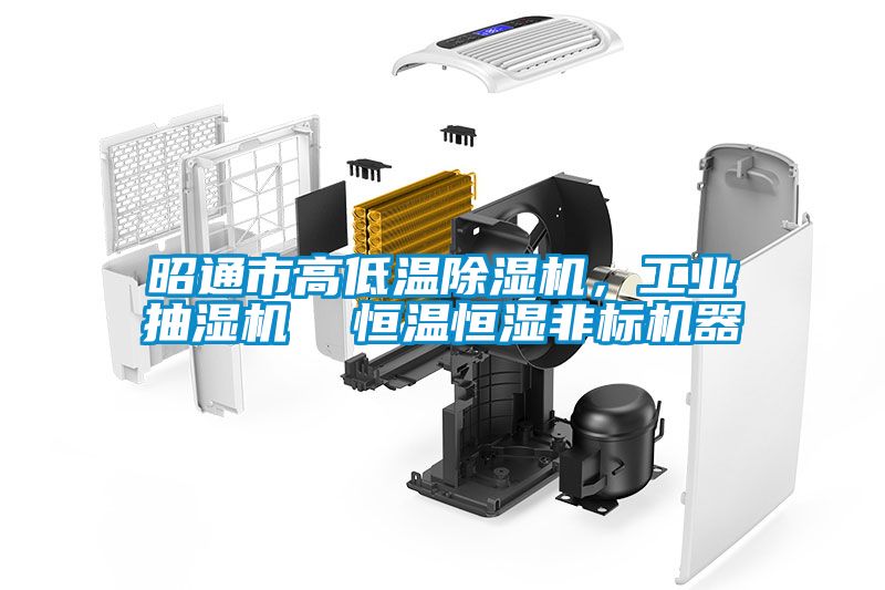 昭通市高低溫除濕機，工業抽濕機  恒溫恒濕非標機器