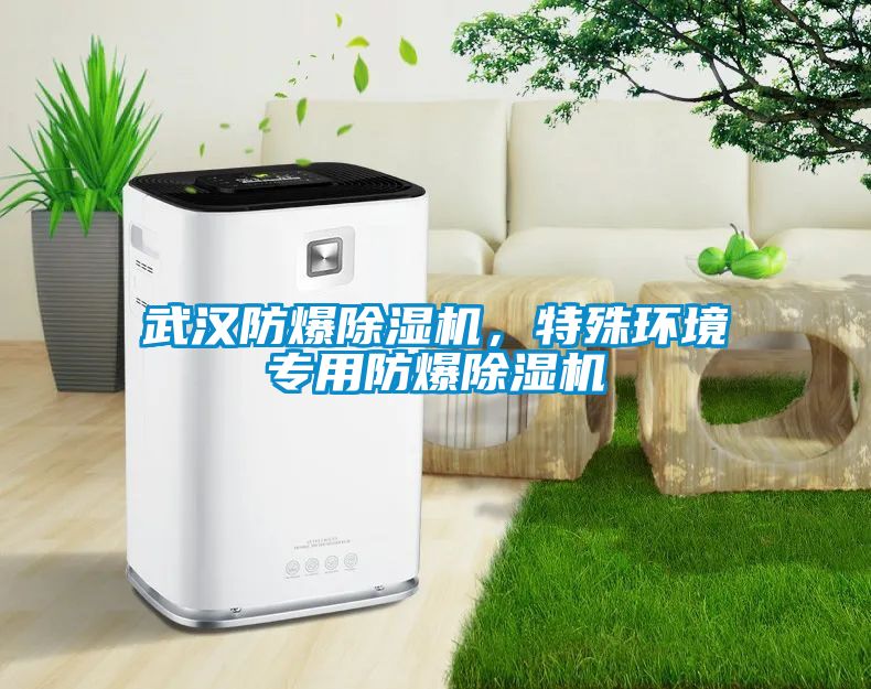 武漢防爆除濕機，特殊環境專用防爆除濕機