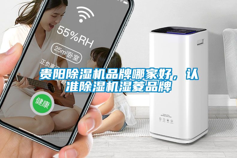 貴陽除濕機品牌哪家好，認準除濕機濕菱品牌