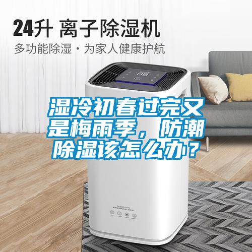 濕冷初春過完又是梅雨季，防潮除濕該怎么辦？
