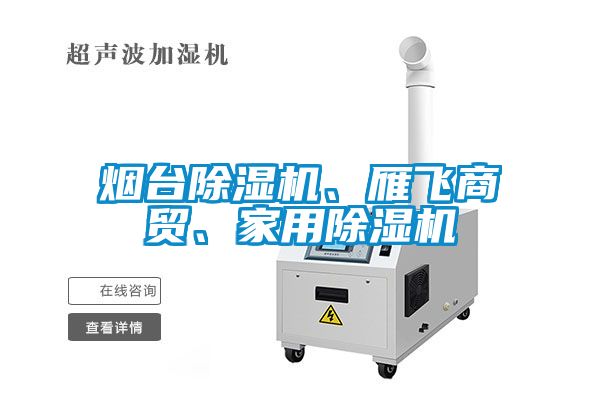 煙臺除濕機、雁飛商貿、家用除濕機