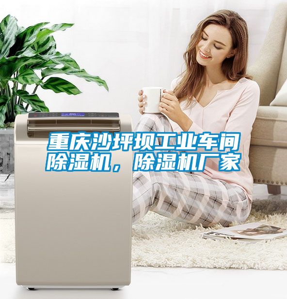 重慶沙坪壩工業(yè)車(chē)間除濕機(jī)，除濕機(jī)廠家