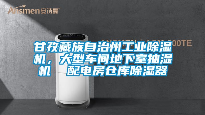 甘孜藏族自治州工業(yè)除濕機(jī)，大型車間地下室抽濕機(jī)  配電房倉(cāng)庫(kù)除濕器