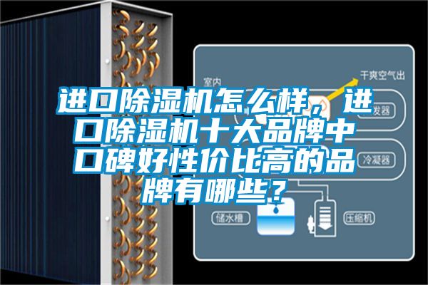 進(jìn)口除濕機(jī)怎么樣，進(jìn)口除濕機(jī)十大品牌中口碑好性價比高的品牌有哪些？