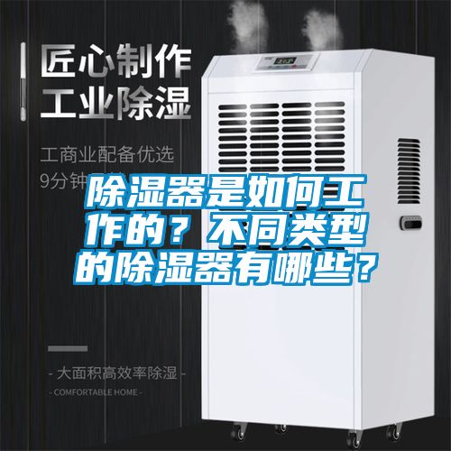 除濕器是如何工作的？不同類型的除濕器有哪些？