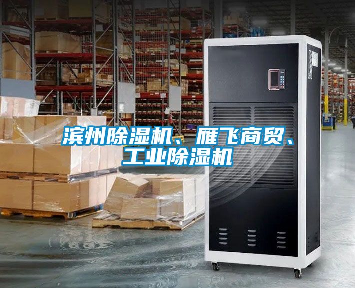 濱州除濕機、雁飛商貿、工業除濕機