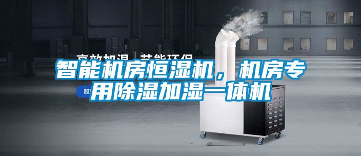 智能機房恒濕機，機房專用除濕加濕一體機