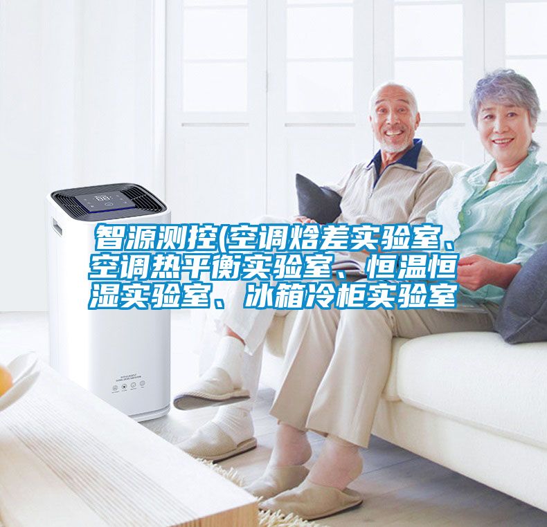 智源測(cè)控(空調(diào)焓差實(shí)驗(yàn)室、空調(diào)熱平衡實(shí)驗(yàn)室、恒溫恒濕實(shí)驗(yàn)室、冰箱冷柜實(shí)驗(yàn)室