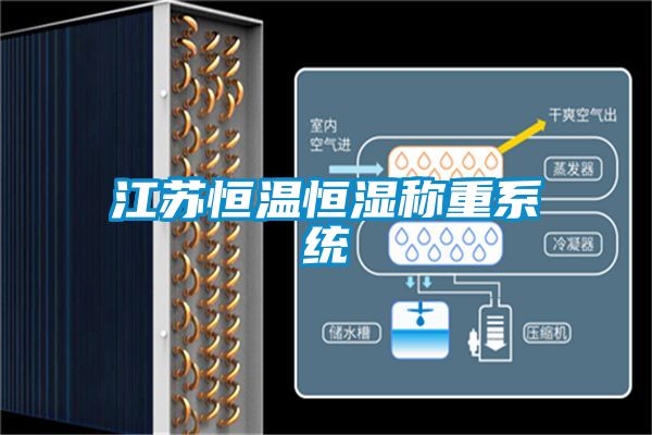 江蘇恒溫恒濕稱(chēng)重系統(tǒng)