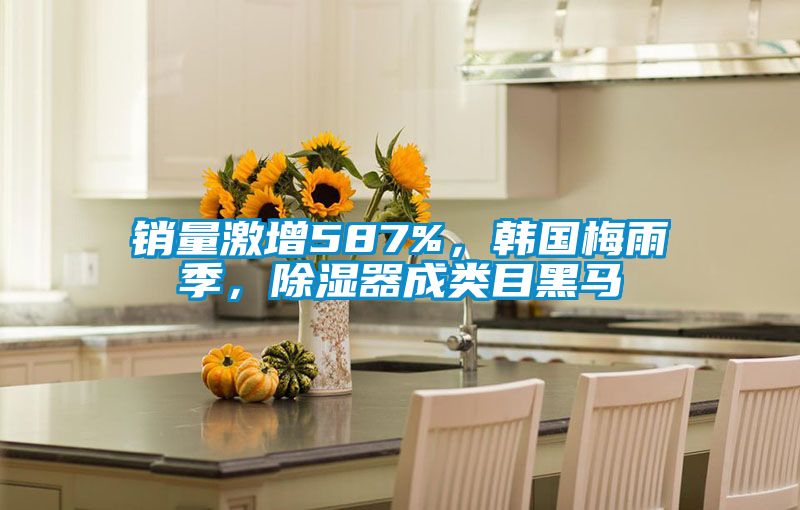 銷量激增587%，韓國梅雨季，除濕器成類目黑馬