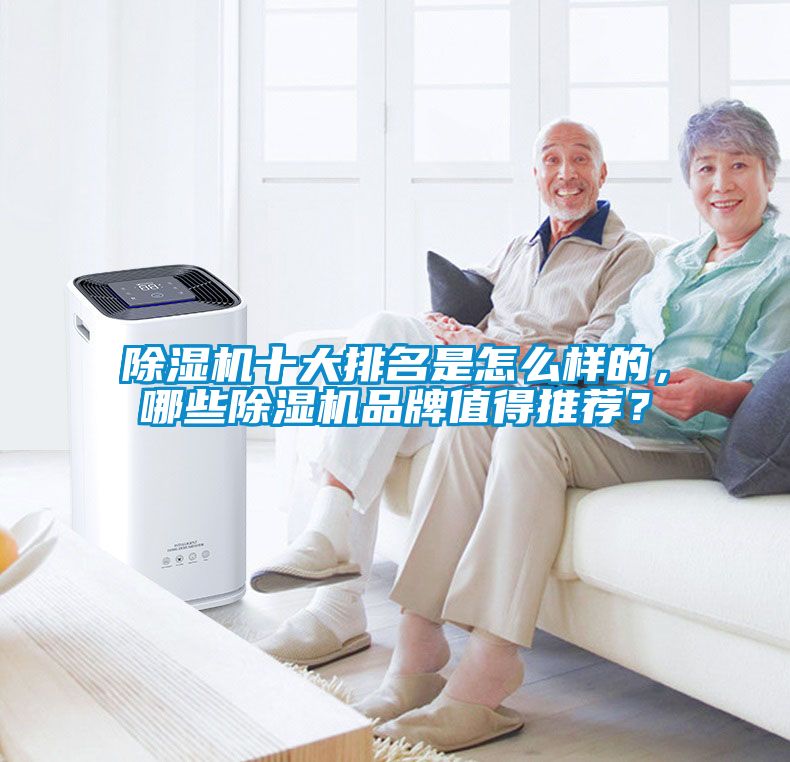 除濕機(jī)十大排名是怎么樣的，哪些除濕機(jī)品牌值得推薦？