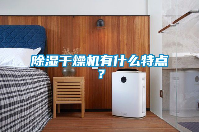 除濕干燥機(jī)有什么特點？
