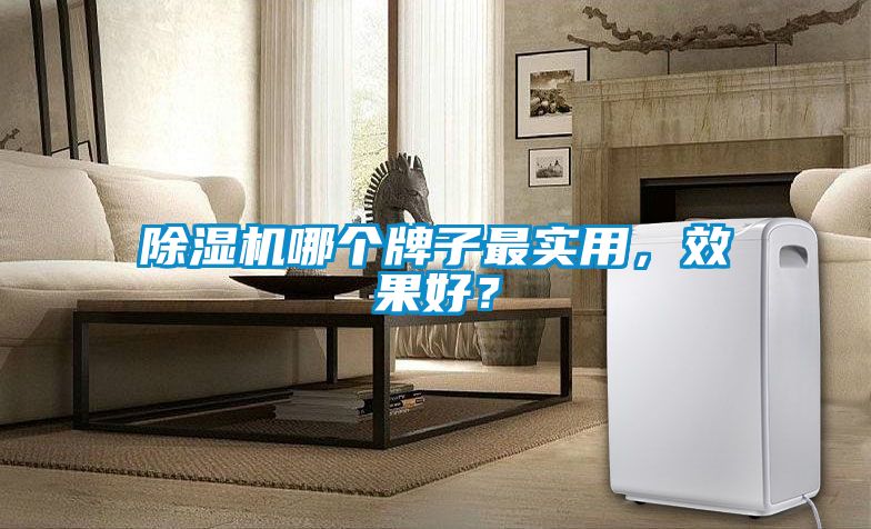 除濕機哪個牌子最實用，效果好？