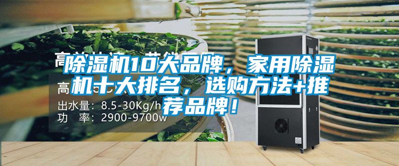 除濕機(jī)10大品牌，家用除濕機(jī)十大排名，選購方法+推薦品牌！