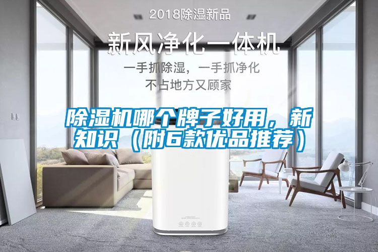 除濕機(jī)哪個(gè)牌子好用，新知識（附6款優(yōu)品推薦）