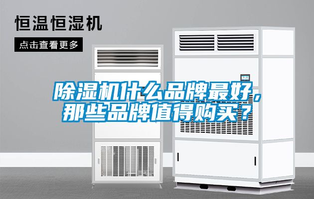 除濕機(jī)什么品牌最好，那些品牌值得購買？