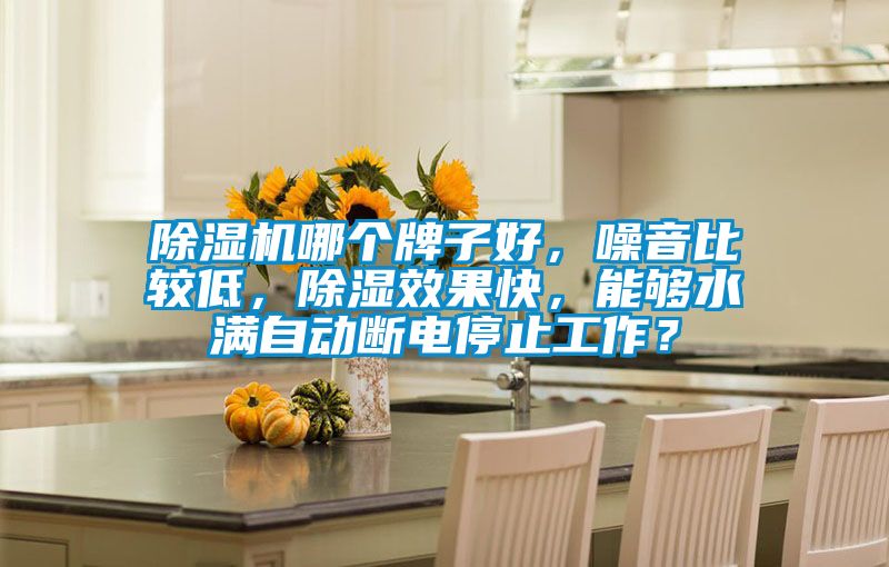 除濕機哪個牌子好，噪音比較低，除濕效果快，能夠水滿自動斷電停止工作？