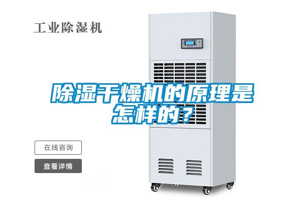 除濕干燥機的原理是怎樣的？